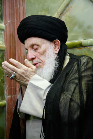 sayed-alhakeem-hakeem-najaf
