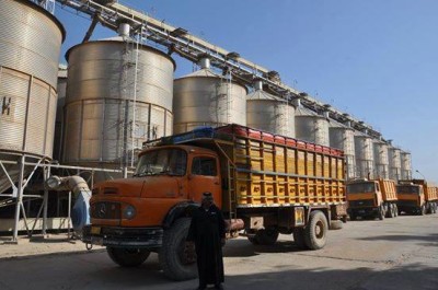 تسويق اكثر من 114 ألف طن من الشلب في محافظة النجف الاشرف