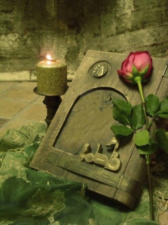 11134424_870431559686018_1073275710_n