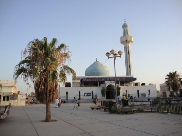 عامرية الفلوجة