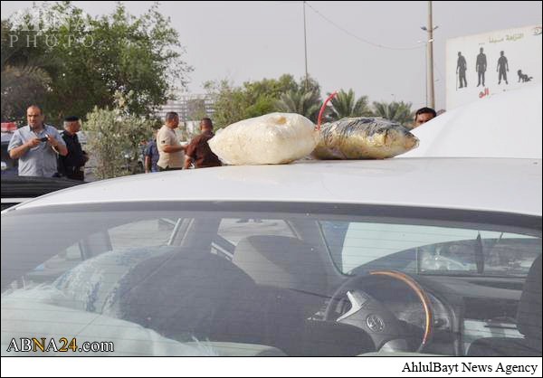 b18703e8e482935ec28759501e2e5124