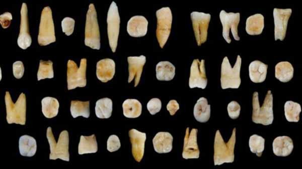 اكتُشفت أحفورة الأسنان في أحد الكهوف بجنوب الصين، وترجع إلى 80 ألف عام. 