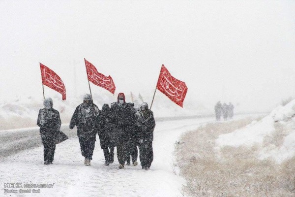 12342491_733769300090622_3909679503782082237_n