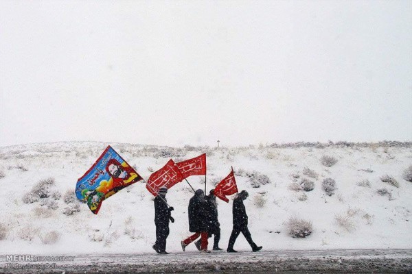 12360048_733769266757292_8266684714181135266_n