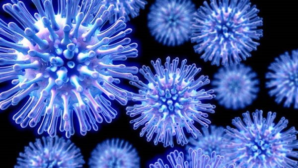 فيروس انفلونزا الخنازير H1N1
