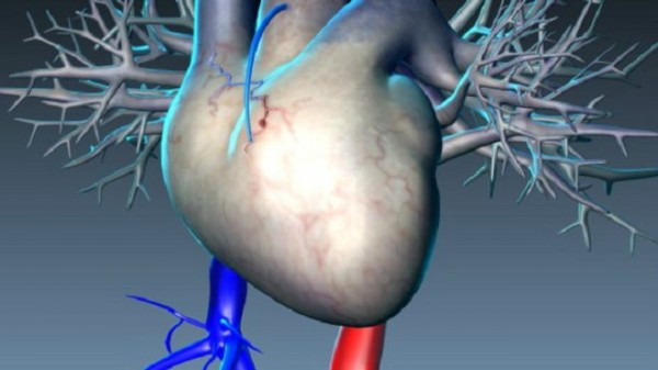 تعتمد طريقة العلاج الجديدة على إزالة الرواسب الموجودة على جدران الشرايين باستخدام جسيمات صناعية دقيقة 