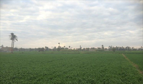 26-3-2016-S-06