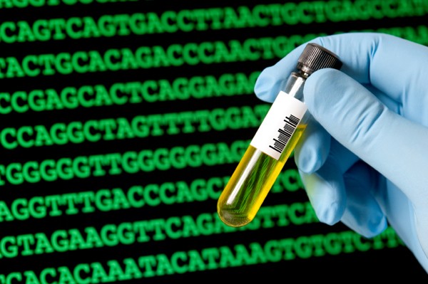 DNA code analysis