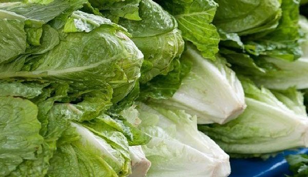 ستجعلك تتناوله بشكلٍ يومي ومنتظمستجعلك تتناوله بشكلٍ يومي ومنتظم