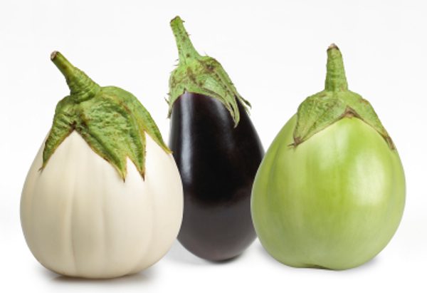 1344333976Eggplant