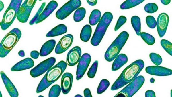 160519131141_antibiotics_superbugs_640x360_sciencephotolibrary_nocredit