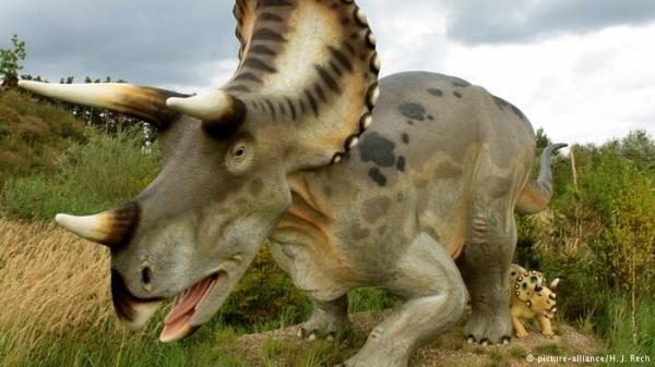 images-600-09-23-16-7033820