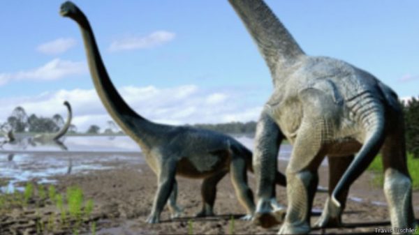 161021054725_dinosaurs_titanosaurs_640x360_travistischler