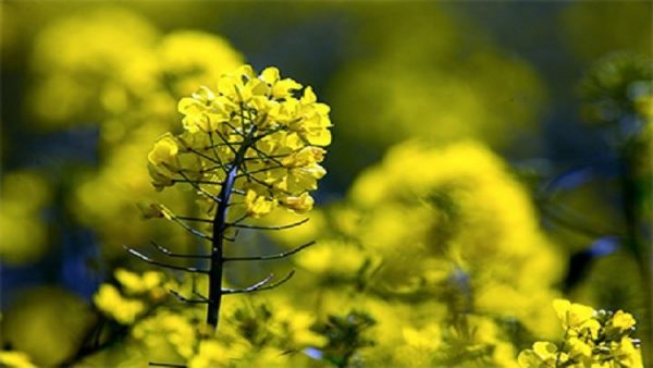 5819b1cfc3618895028b460c