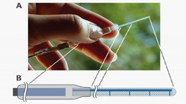 581afbb2c4618816248b45ed