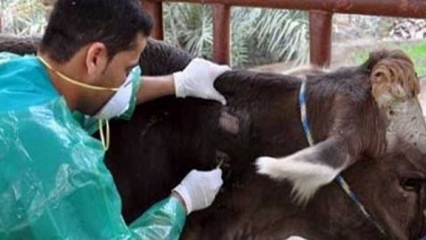 5830490dc46188db4e8b460b