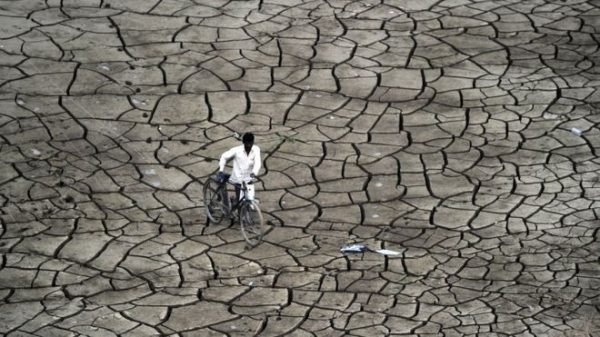 _92230745_gettyimages-487728838