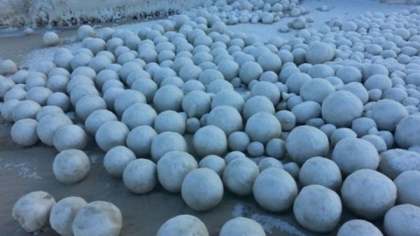 _92293014_fdb55f0a-40a6-4faa-bc62-eaa9c04c8ce3