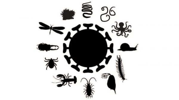 _92640412_fc48283a-47f7-4751-bfef-f1fcc91ff065