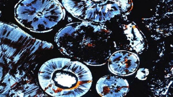 584a6db0c461880c4f8b461e