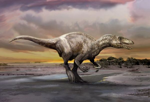 An artist's rendering of a carnivorous dinosaur unearthed in Argentina called Murusraptor barrosaensis