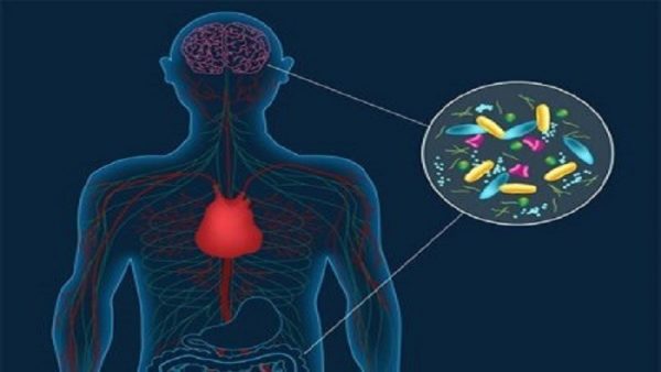 58664294c36188144e8b463f