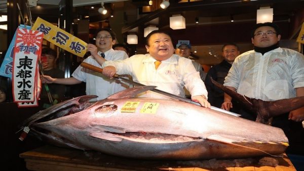 586e42afc361884a798b4597