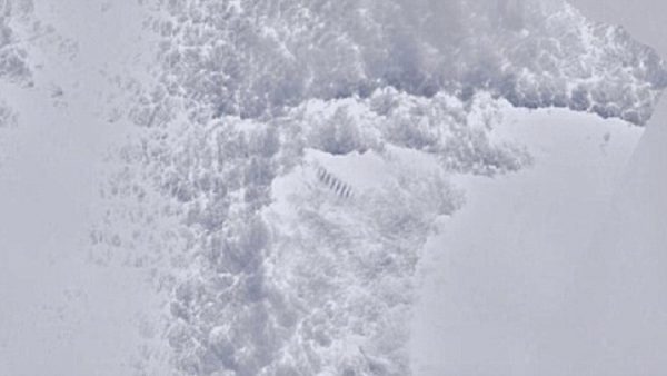 5878bf88c3618828068b45ff