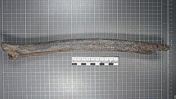 587f517ec46188e06a8b4600