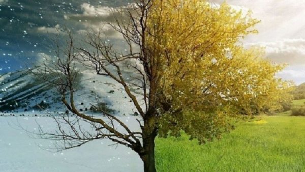 5889e65ac361886e1b8b464f