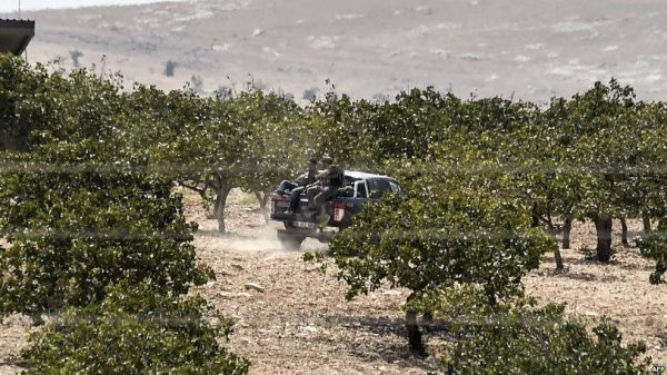 8ba220dd-5dab-4880-8db0-4d53bda5af84_w987_r1_s