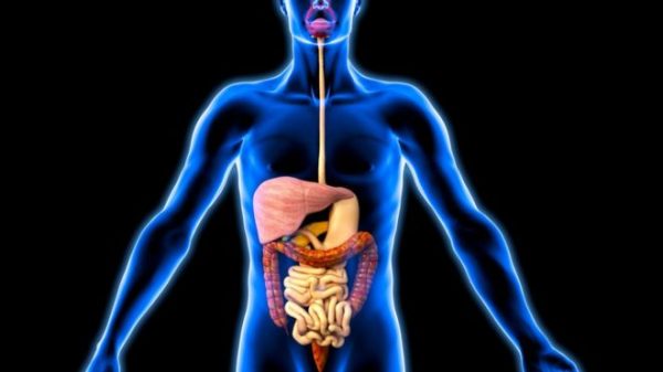 _93270579_012129296-1