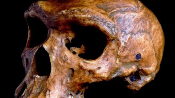 _93283487_138c35ad-c333-4357-9c6c-f02bb6e541b4