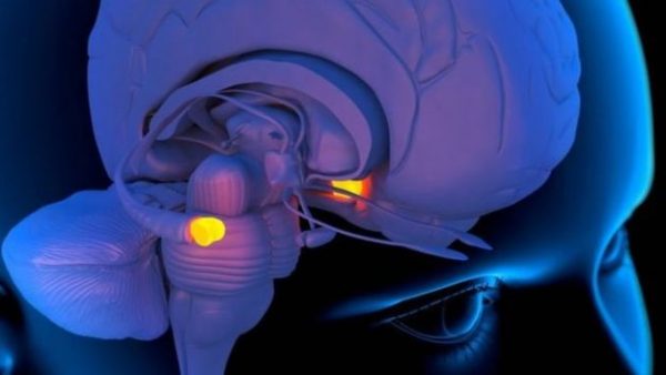 _93539202_432c5e46-37a3-420a-975a-6c7310934791