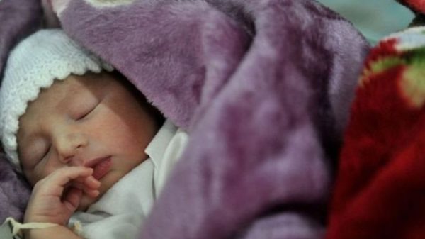 _93847954_6d085f17-8266-4f2f-9f16-7a82f2cb49a0