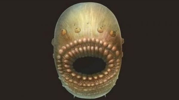 _93882888_bbdaec8e-b84a-4c21-ab5c-08cf5e839b35