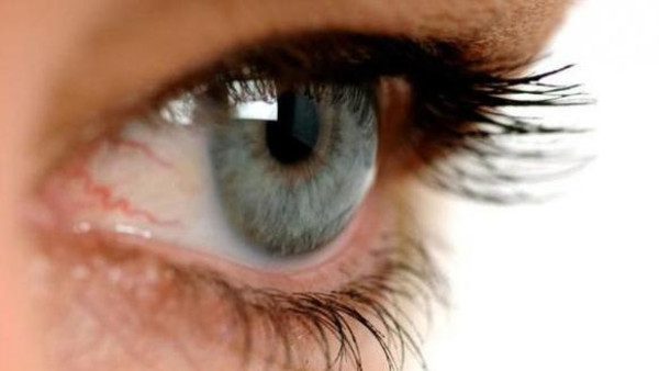 f02033a4-8f3e-4b78-afa0-e2308d12ad58_16x9_600x338