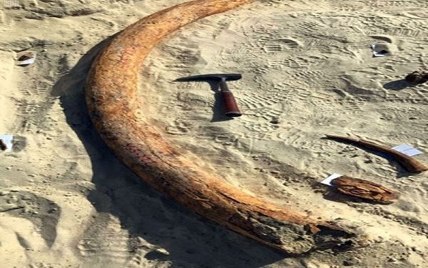 587f7fecc461889a1f8b45aa