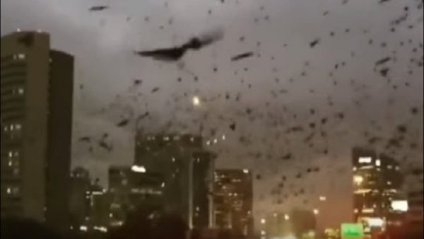 588ba03ec46188ef488b46aa