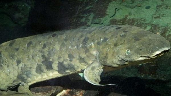 589a045fc36188600e8b45a1