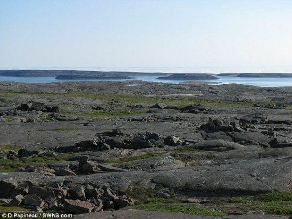 58b7deb3c36188be1d8b45f1