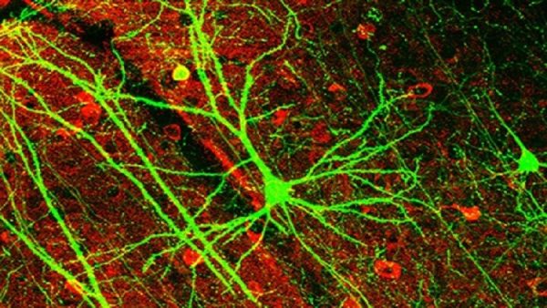 58c2a2a6c361888d328b4589