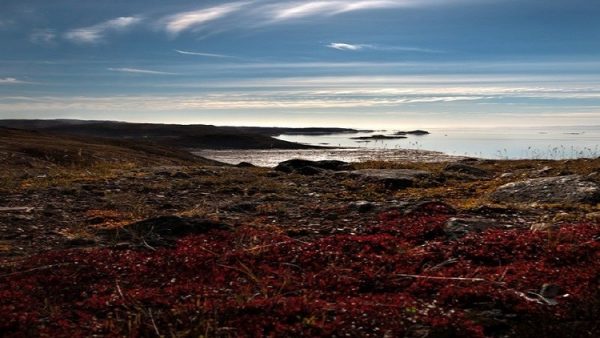 58c6b494c361880c308b45ee