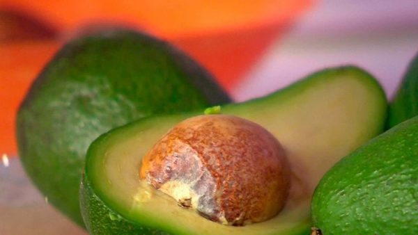 58c85c9ec36188e1108b45ed