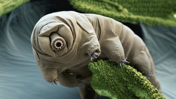 58cc2a01c46188ed5b8b46d4