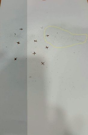 58d52c46c4618868348b4670