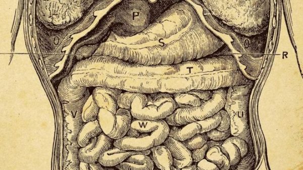 _95302701_6d5dccbe-73c0-411c-9995-67d96112cb67