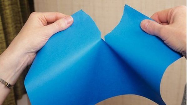 _95330502_e5f9ccaf-30c3-41ae-bb5a-fb48689db6b8