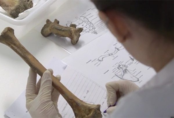 abdulkareemalhaydary-27-03-2017-12