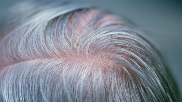 _95510609_6e86a00c-5f68-4eb9-8725-b9ce6dd22fe6